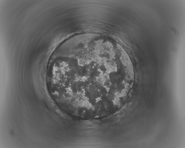 X0000113550241200910091309