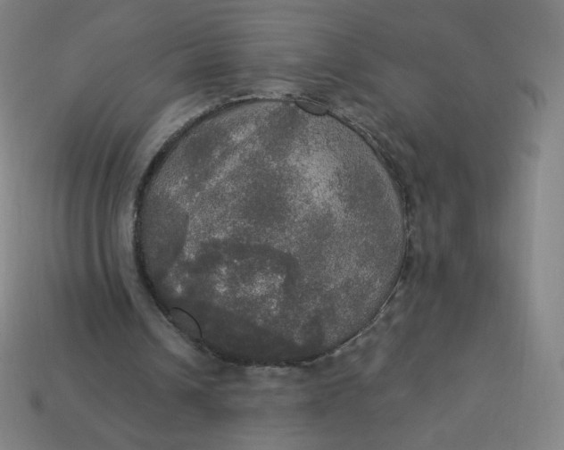 X0000113550242200910091310