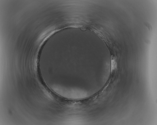 X0000113550243200910091310