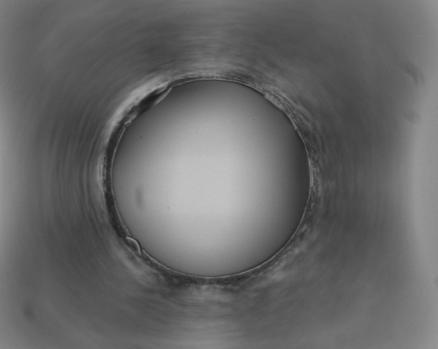X0000113550244200910091310