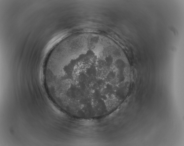 X0000113550245200910091310