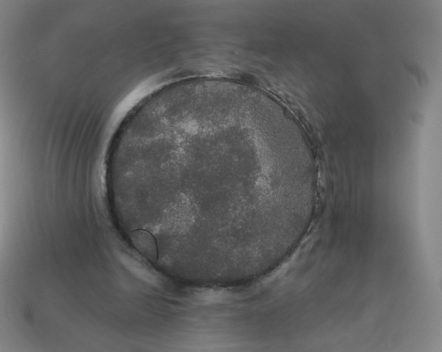 X0000113550246200910091310