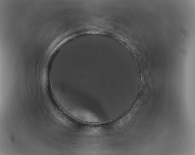 X0000113550247200910091310