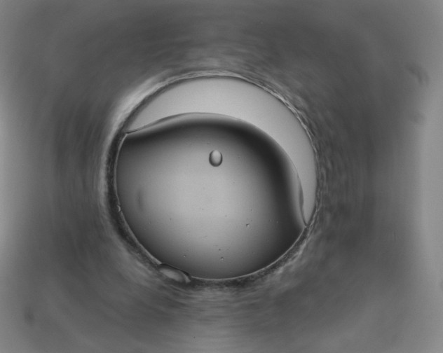 X0000113550248200910091310