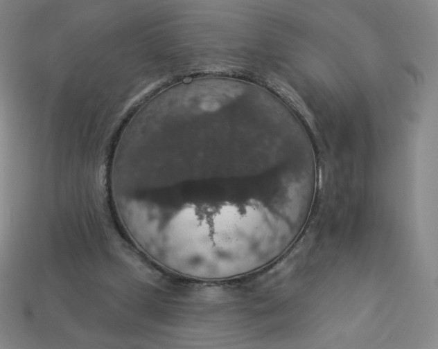 X0000113550249200910091310