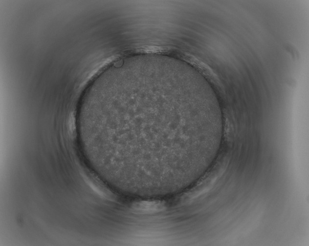 X0000113550251200910091310