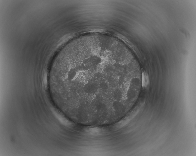 X0000113550253200910091310