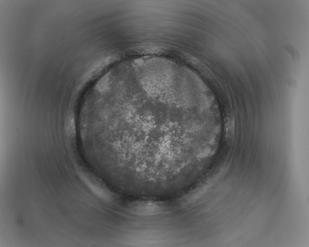 X0000113550254200910091310