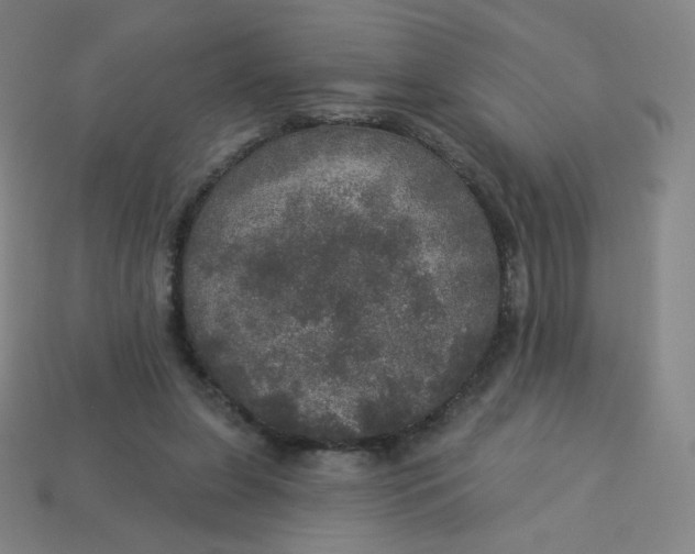 X0000113550255200910091310