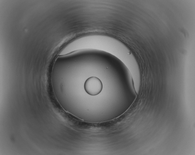 X0000113550256200910091310
