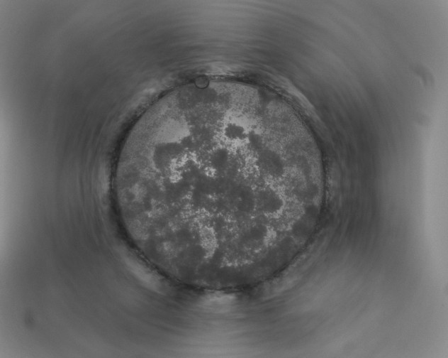 X0000113550257200910091310