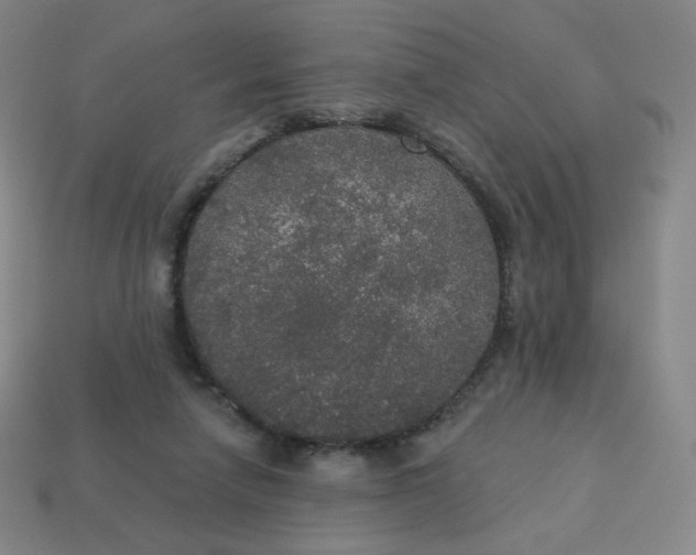 X0000113550258200910091310