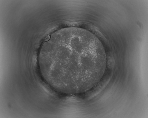 X0000113550259200910091310