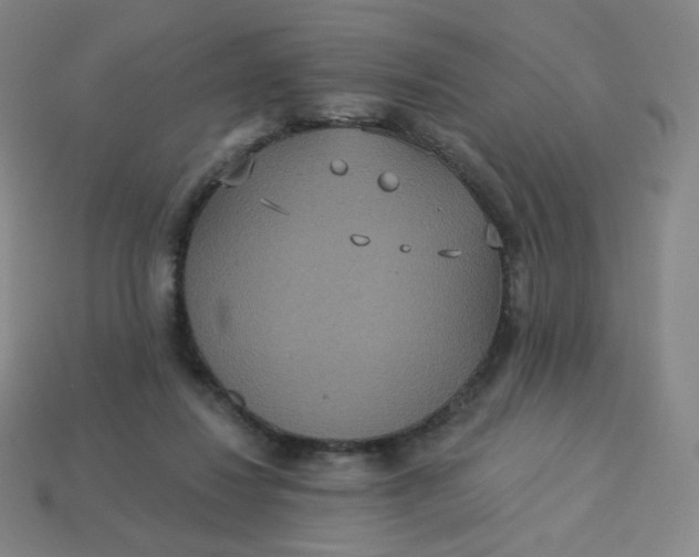 X0000113550260200910091310