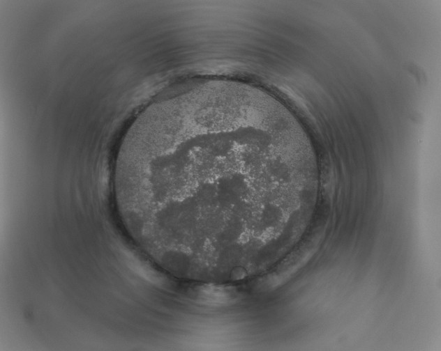 X0000113550261200910091310