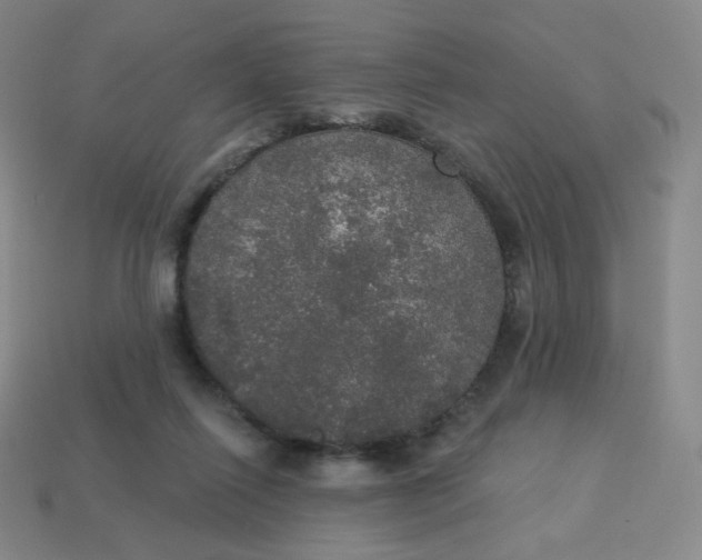 X0000113550262200910091310