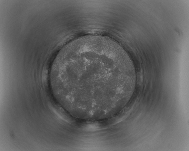 X0000113550263200910091310