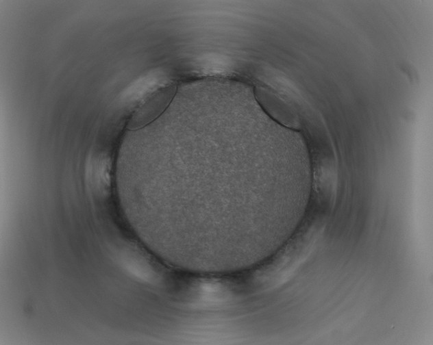 X0000113550264200910091310