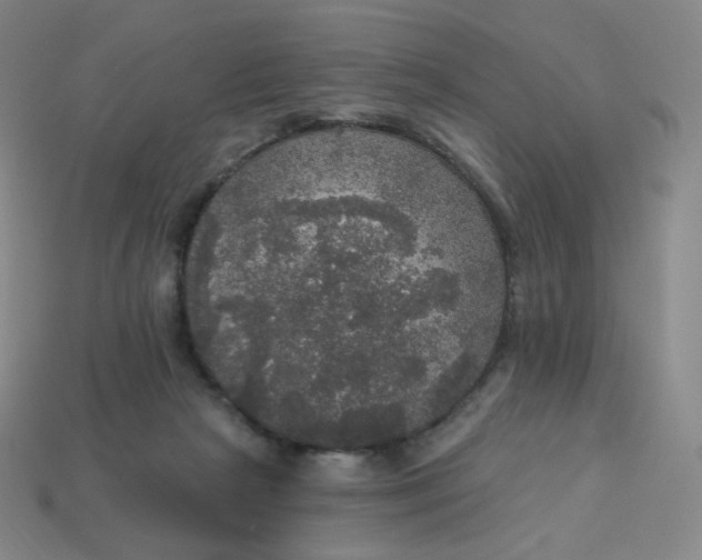 X0000113550265200910091310
