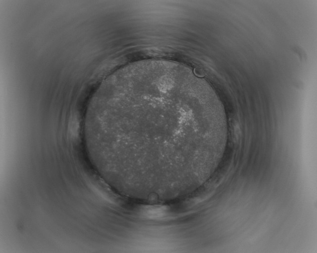 X0000113550266200910091310