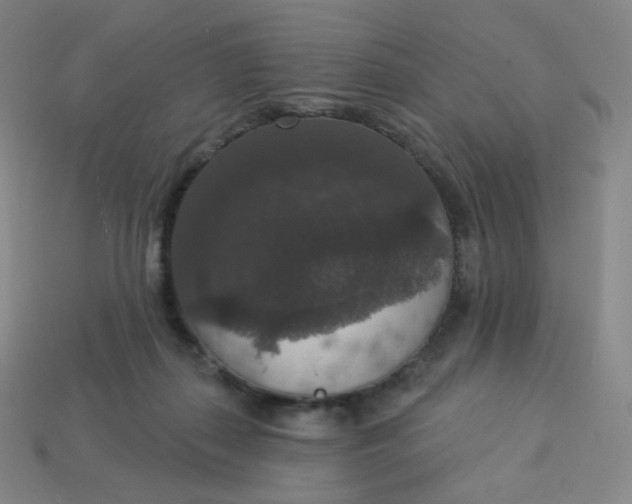 X0000113550267200910091310