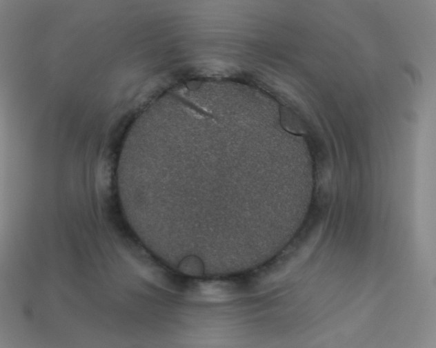 X0000113550268200910091310