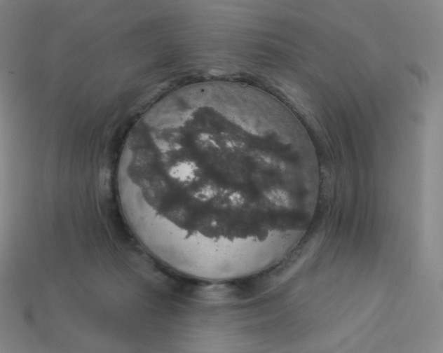 X0000113550269200910091310