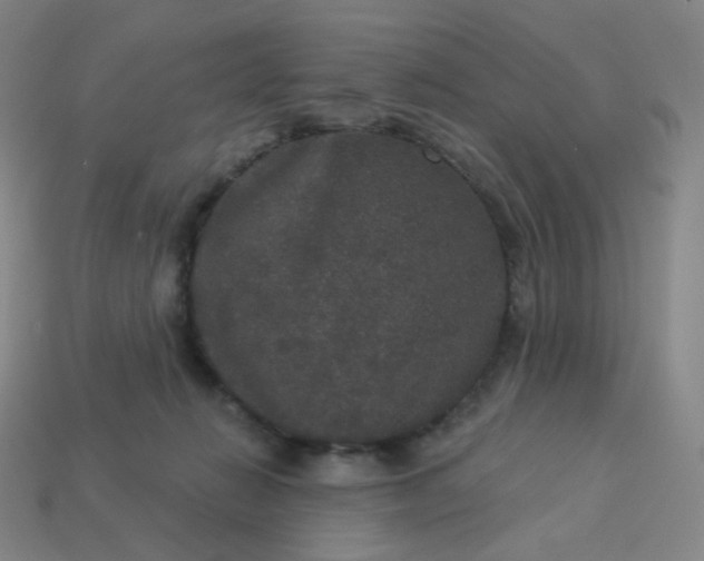 X0000113550270200910091310