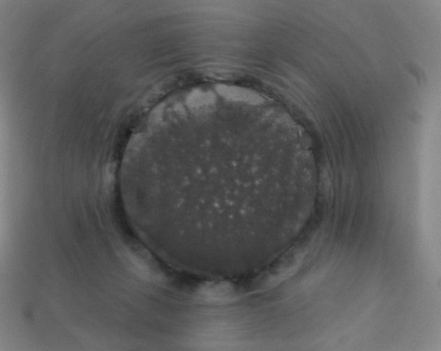 X0000113550271200910091310