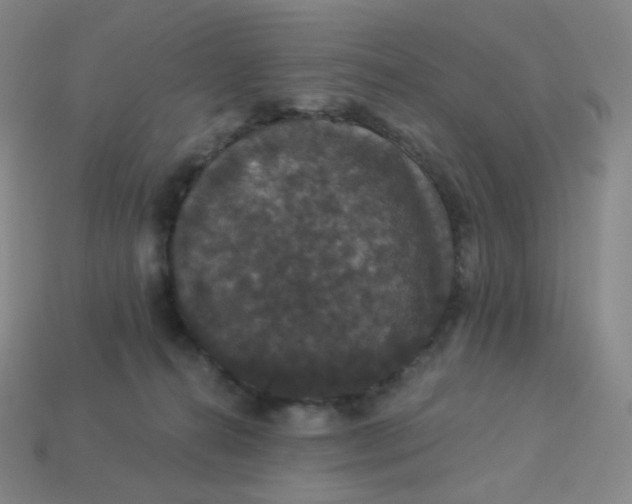 X0000113550272200910091310