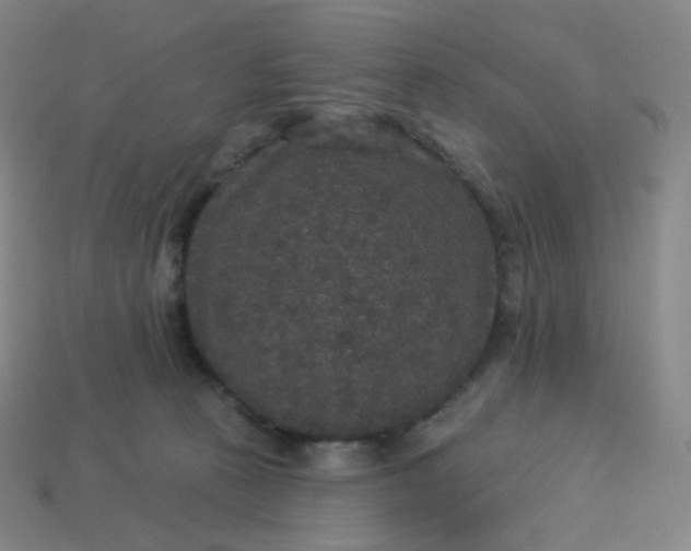 X0000113550273200910091310