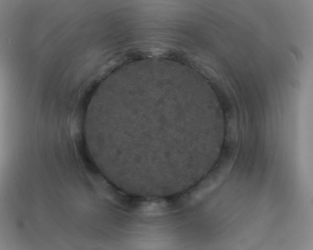 X0000113550274200910091310