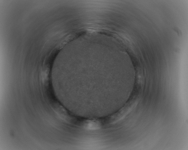 X0000113550275200910091310