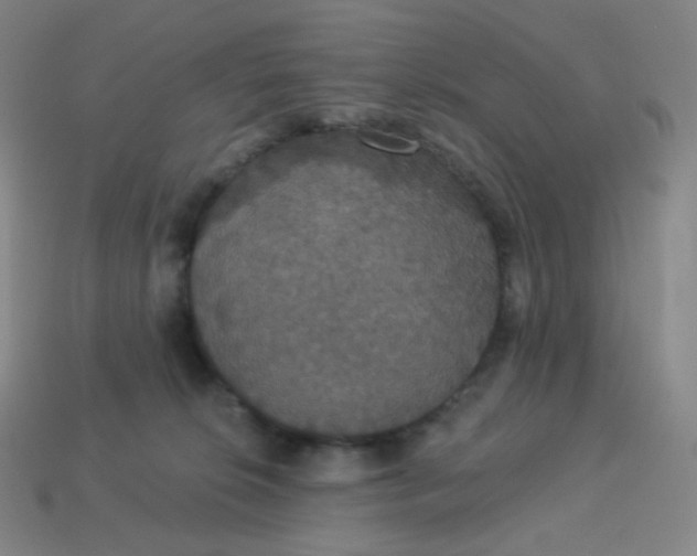 X0000113550276200910091310
