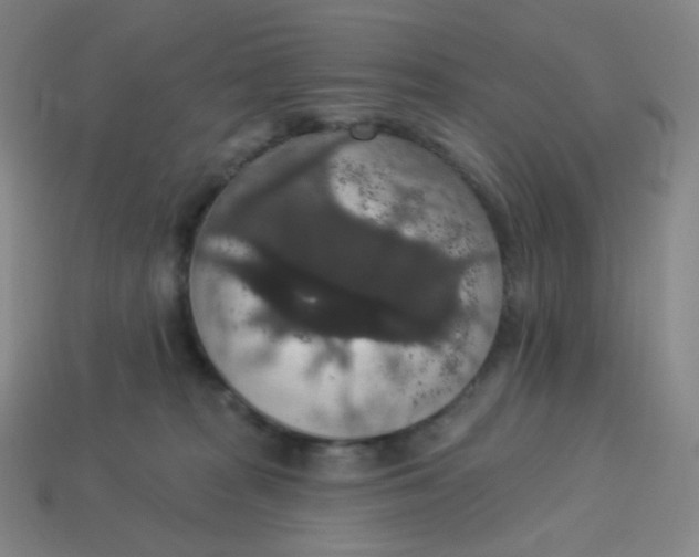 X0000113550277200910091310