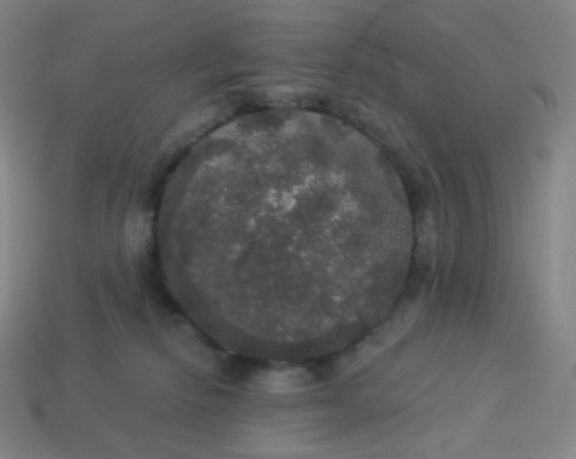 X0000113550278200910091310