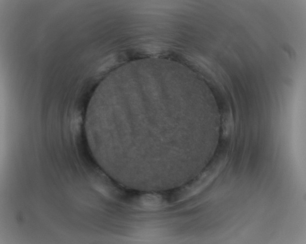 X0000113550279200910091310