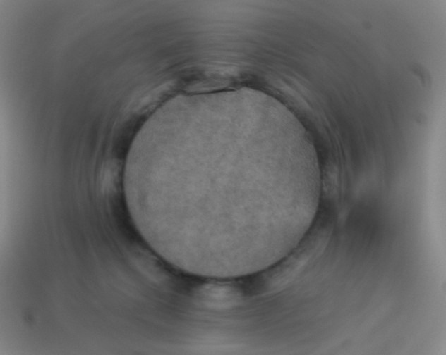 X0000113550280200910091310