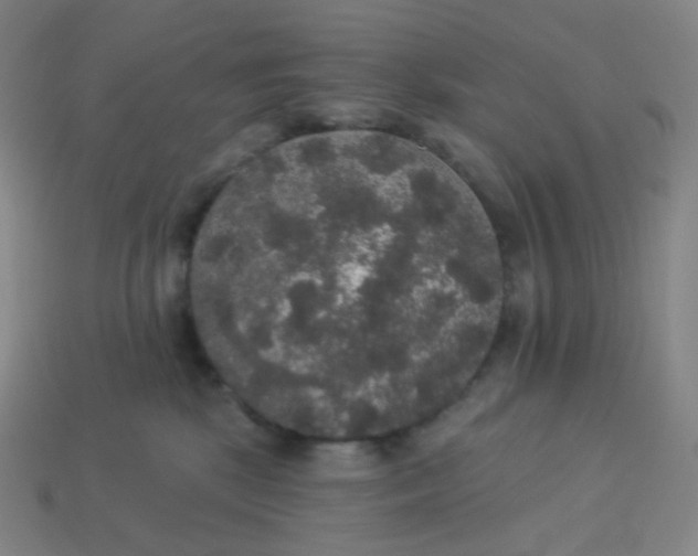 X0000113550281200910091310