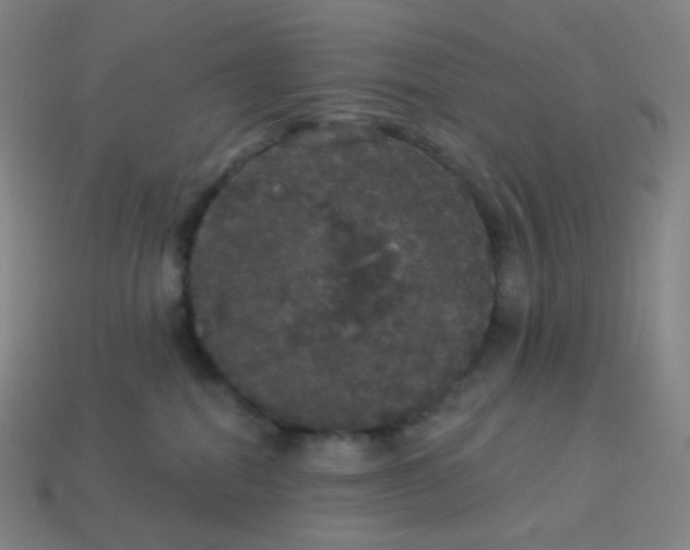 X0000113550282200910091310