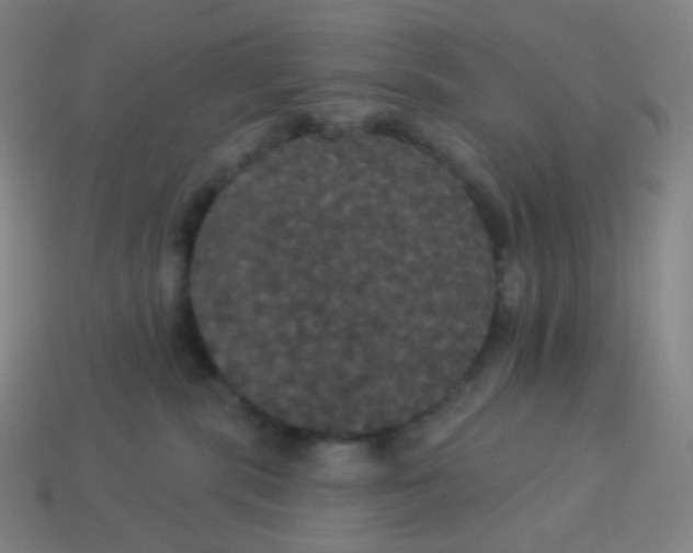 X0000113550283200910091310