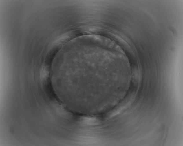X0000113550284200910091310