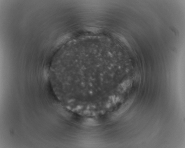 X0000113550285200910091310