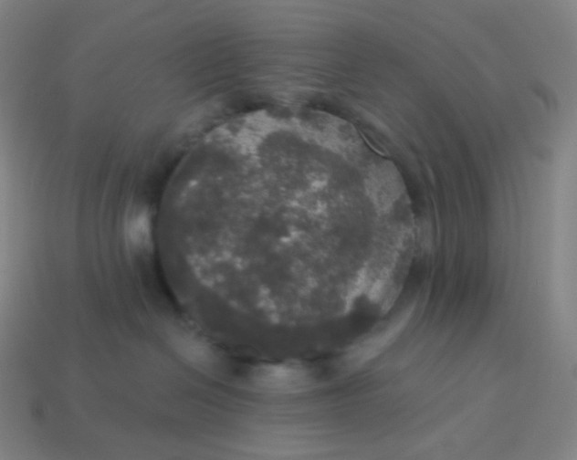 X0000113550286200910091310