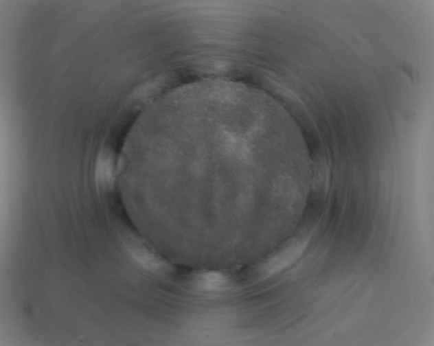 X0000113550287200910091310