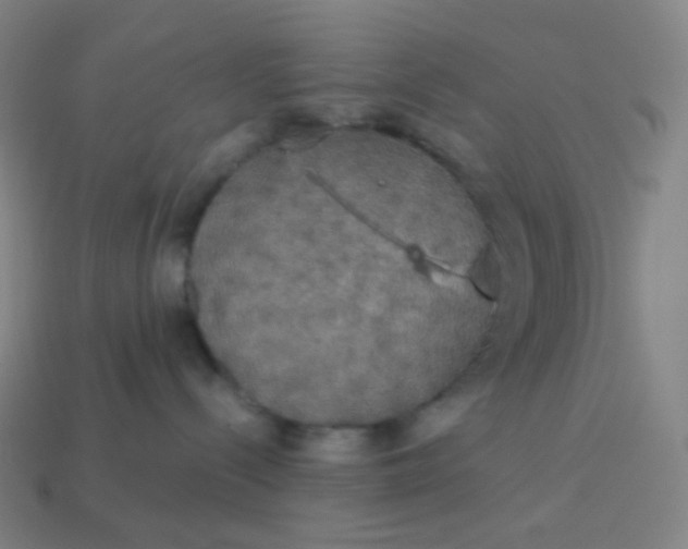 X0000113550288200910091310