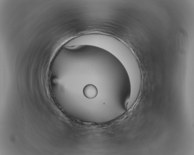 X0000113550289200910091309