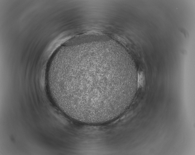 X0000113550291200910091309