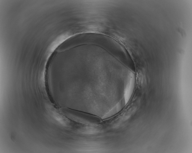 X0000113550292200910091309