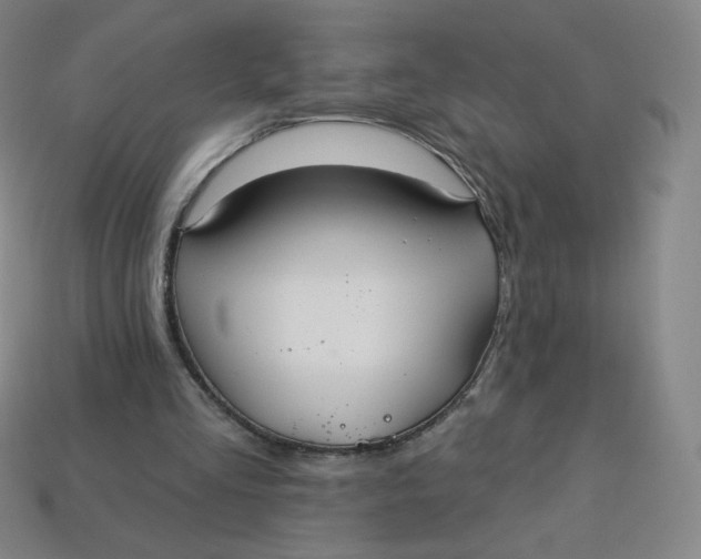 X0000113550293200910091309